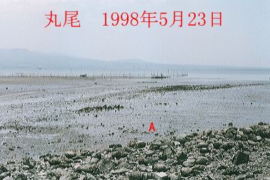 1998N5ʐ^@29D8KB
