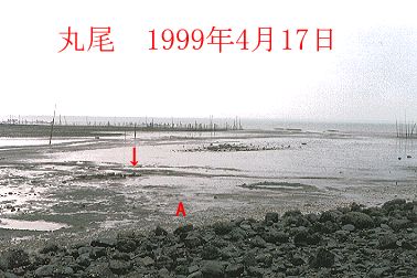 1999N4ʐ^@25D1KB