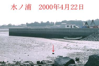 2000N4ʐ^@19D1KB