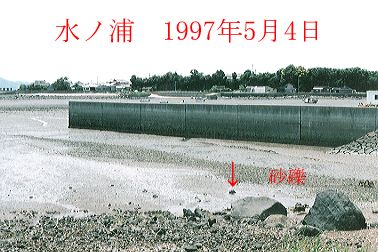 1997N5ʐ^@31D4KB