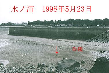 1998N5ʐ^@26D4KB