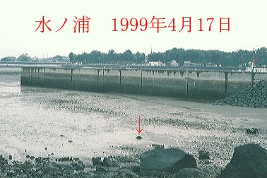 1999N4ʐ^@27D7KB