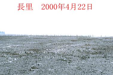2000N4ʐ^@24D3KB