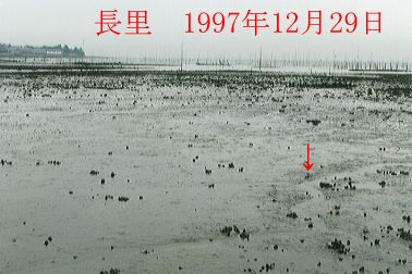 1997N12ʐ^@24D6KB