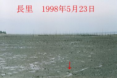 1998N5ʐ^@23D3KB