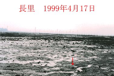1999N4ʐ^@28D6KB