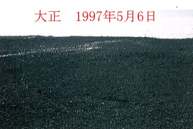 1997N5ʐ^@30D3KB