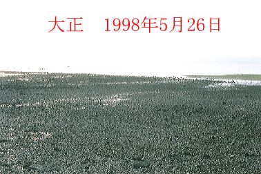 1998N5ʐ^@29D9KB