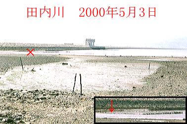 2000N5ʐ^@25D6KB