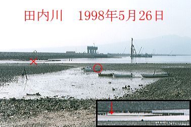 1998N5ʐ^@29D0KB