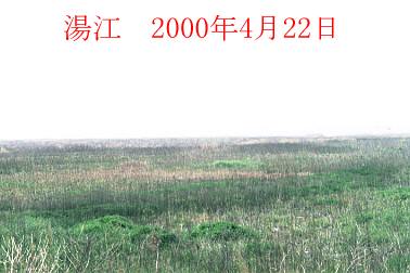 2000N4ʐ^@17D3KB