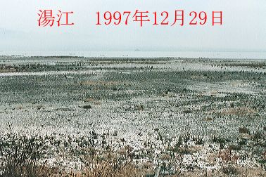 1997N12ʐ^@37D8KB