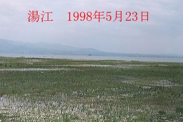 1998N5ʐ^@25D7KB