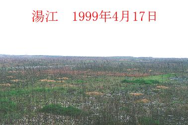 1999N4ʐ^@22D7KB