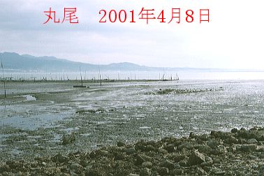 2001N4ʐ^@25D5KB