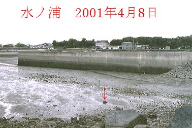 2001N4ʐ^@27.3KB