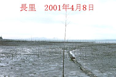 2001N4ʐ^@23.0KB