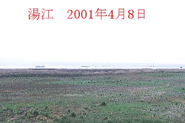 2001N4ʐ^@22.1KB